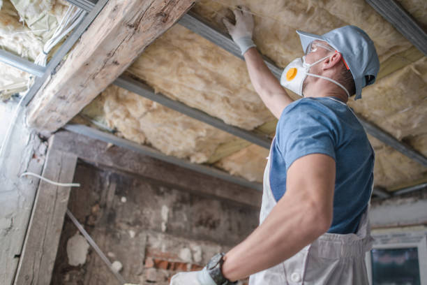 Best Insulation Installation Services in Tega Cay, SC