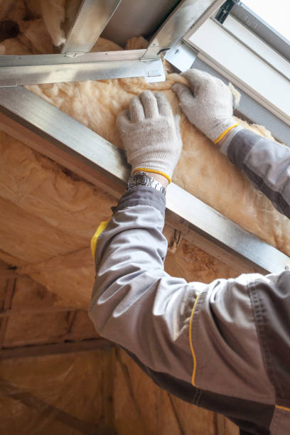 Best Commercial Insulation in Tega Cay, SC